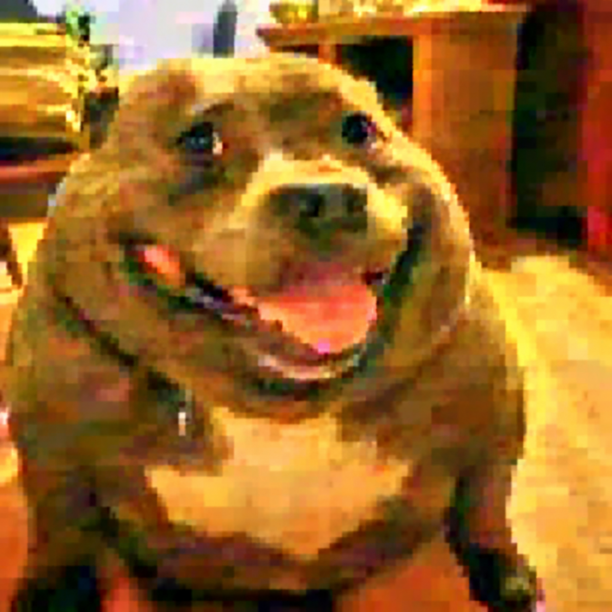 CHONKUS, an extremely chunky brown dog with a huge smile and approximately twelve pixels